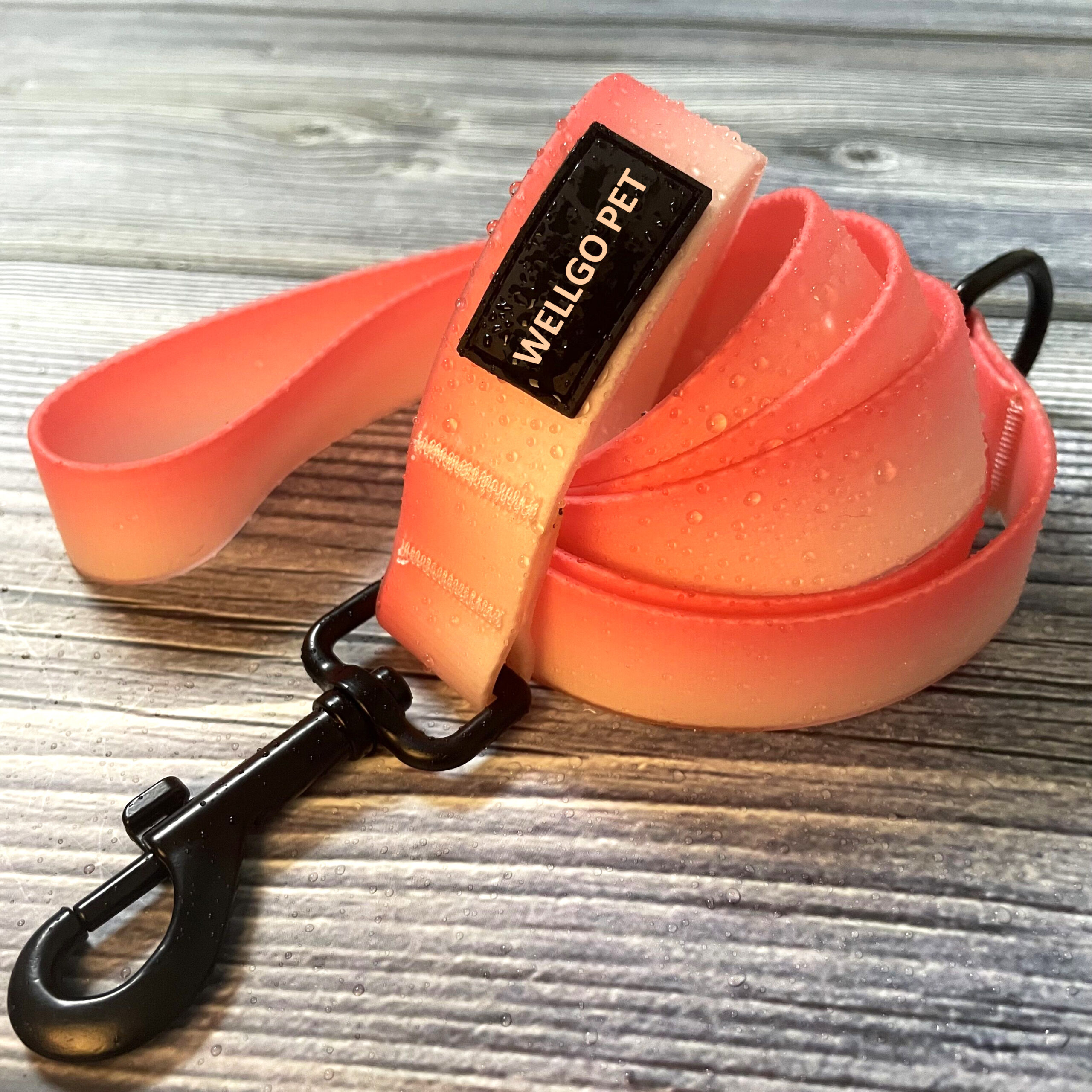 Waterproof Stink-proof Pet Collar (5)