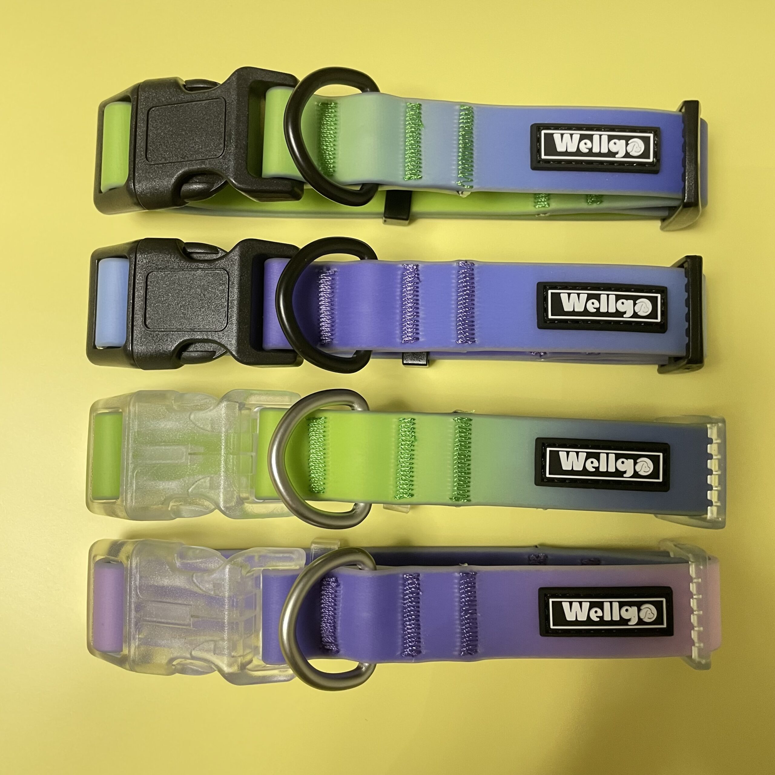Gradient Blue Waterproof Dog Collar & Leash