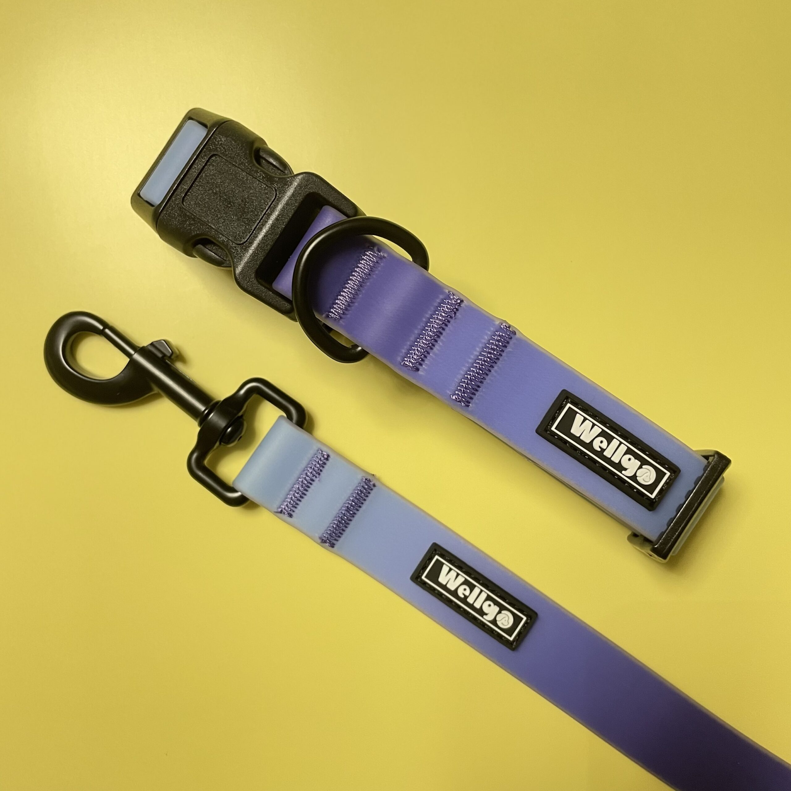 Gradient Blue Waterproof Dog Collar & Leash