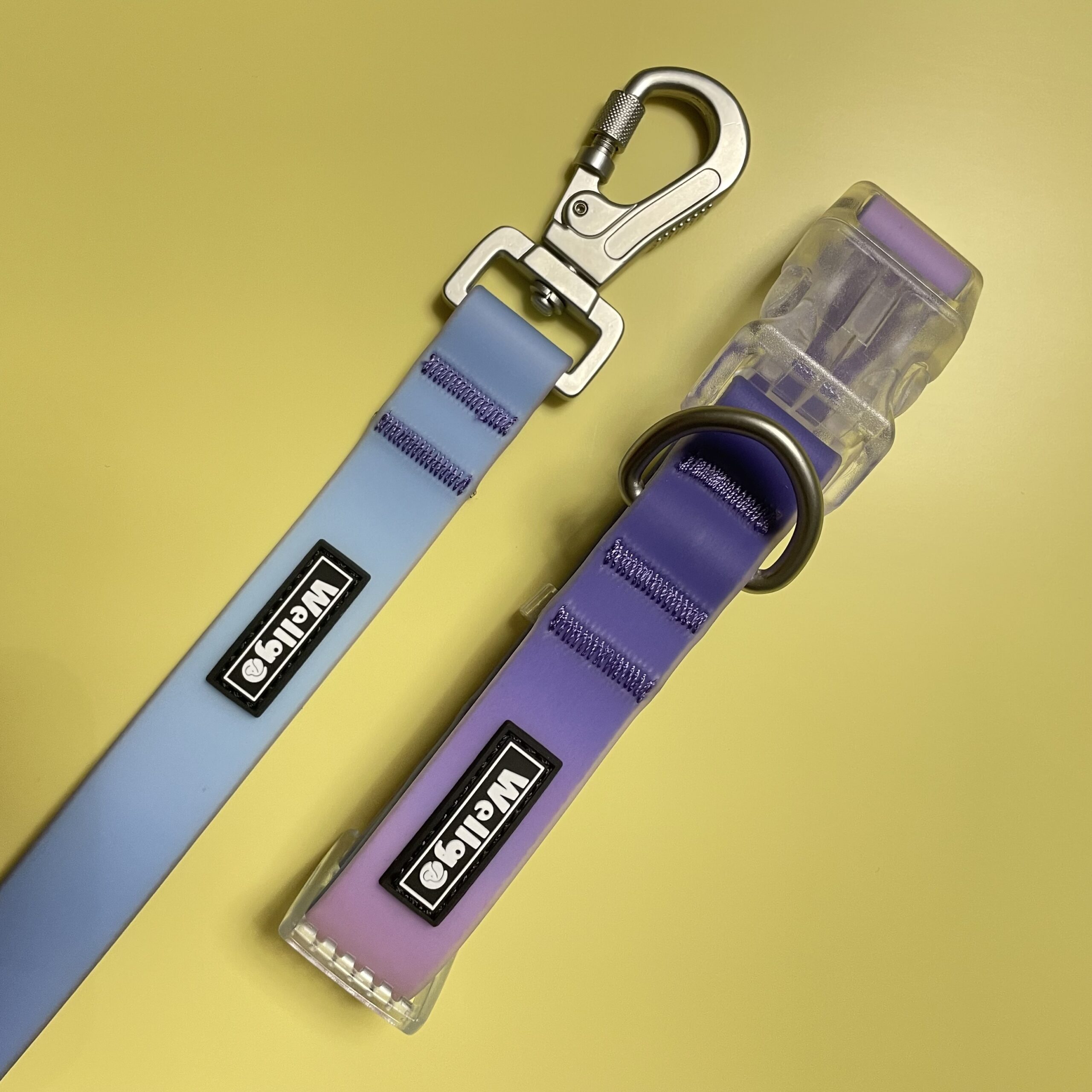 Gradient Blue Waterproof Dog Collar & Leash